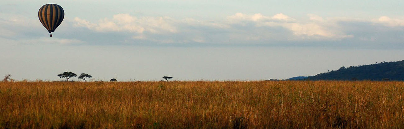 Safari Tours and Routes